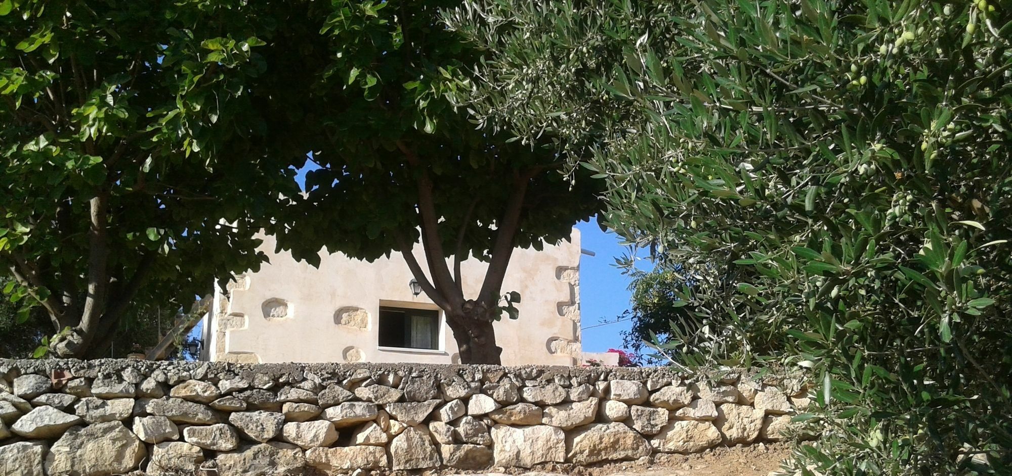 Villa Petra & Elia à Megala Chorafia Extérieur photo